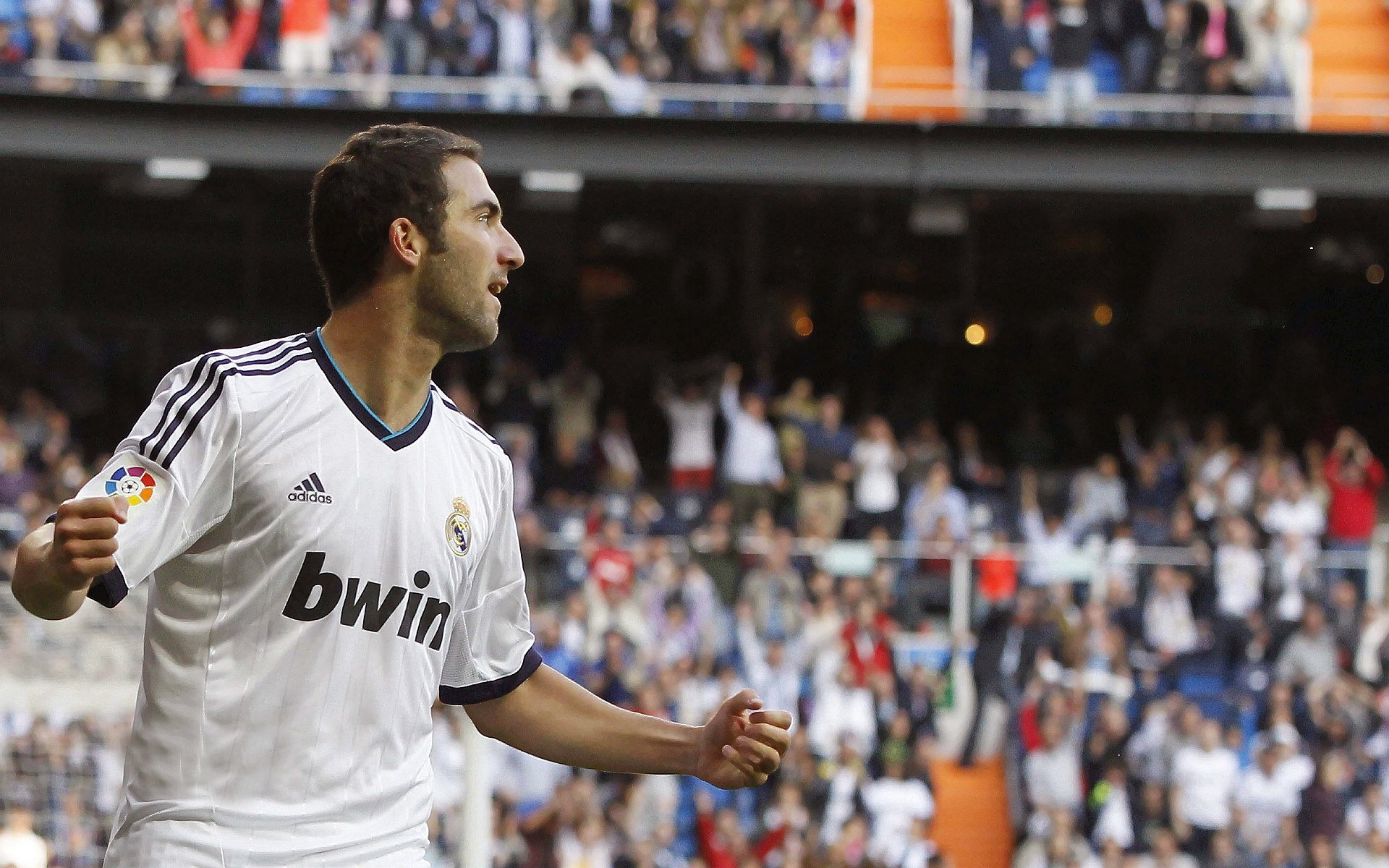 “阿根廷美洲狮队：橄榄球冠军赛的黑马崛起”