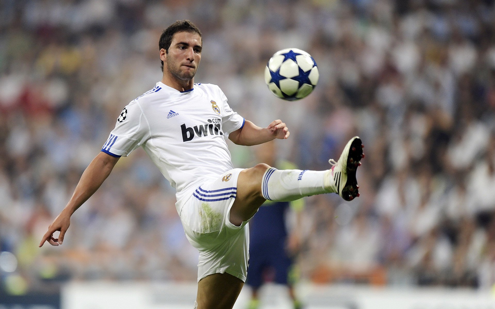 南非羚羊队：随着比赛进程推进，他们的攻势变得越来越猛烈，非洲羚羊的种类及名称