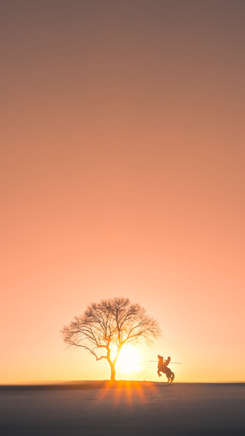 开云全站下载-_森林狼赢得关键比赛，提升季后赛希望_，森林狼季后赛战绩