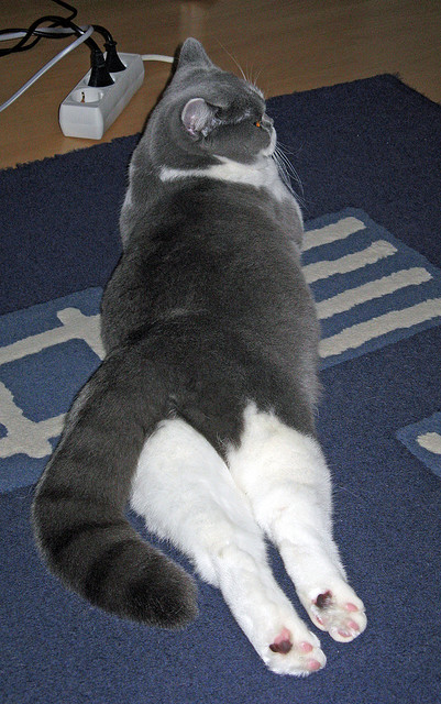 开云esport-_极速冲浪挑战赛：浪尖上的极限体验_，冲浪最快速度