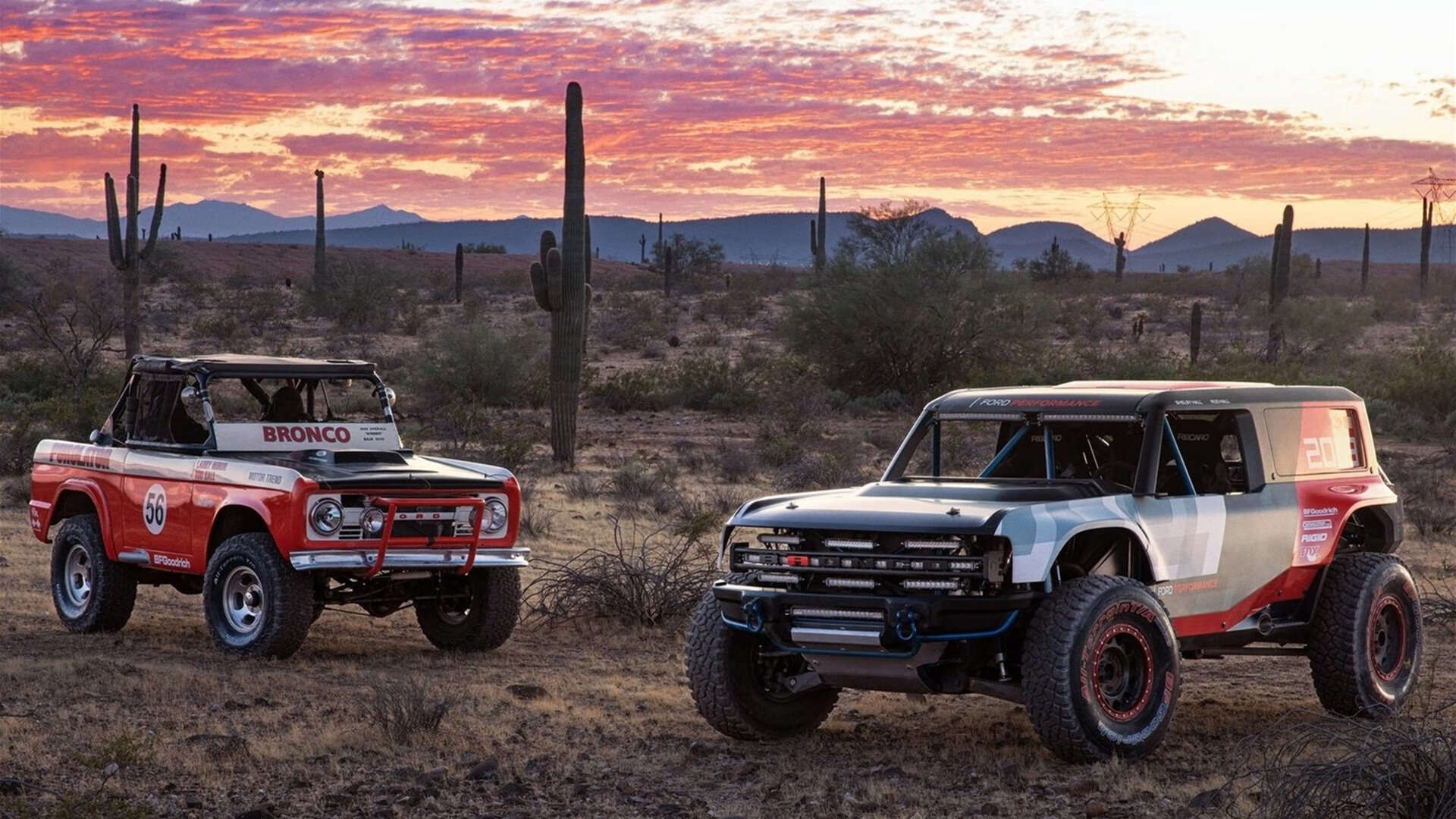 克罗地亚马术协会与亚洲马术协会建立合作关系，推动区域发展。