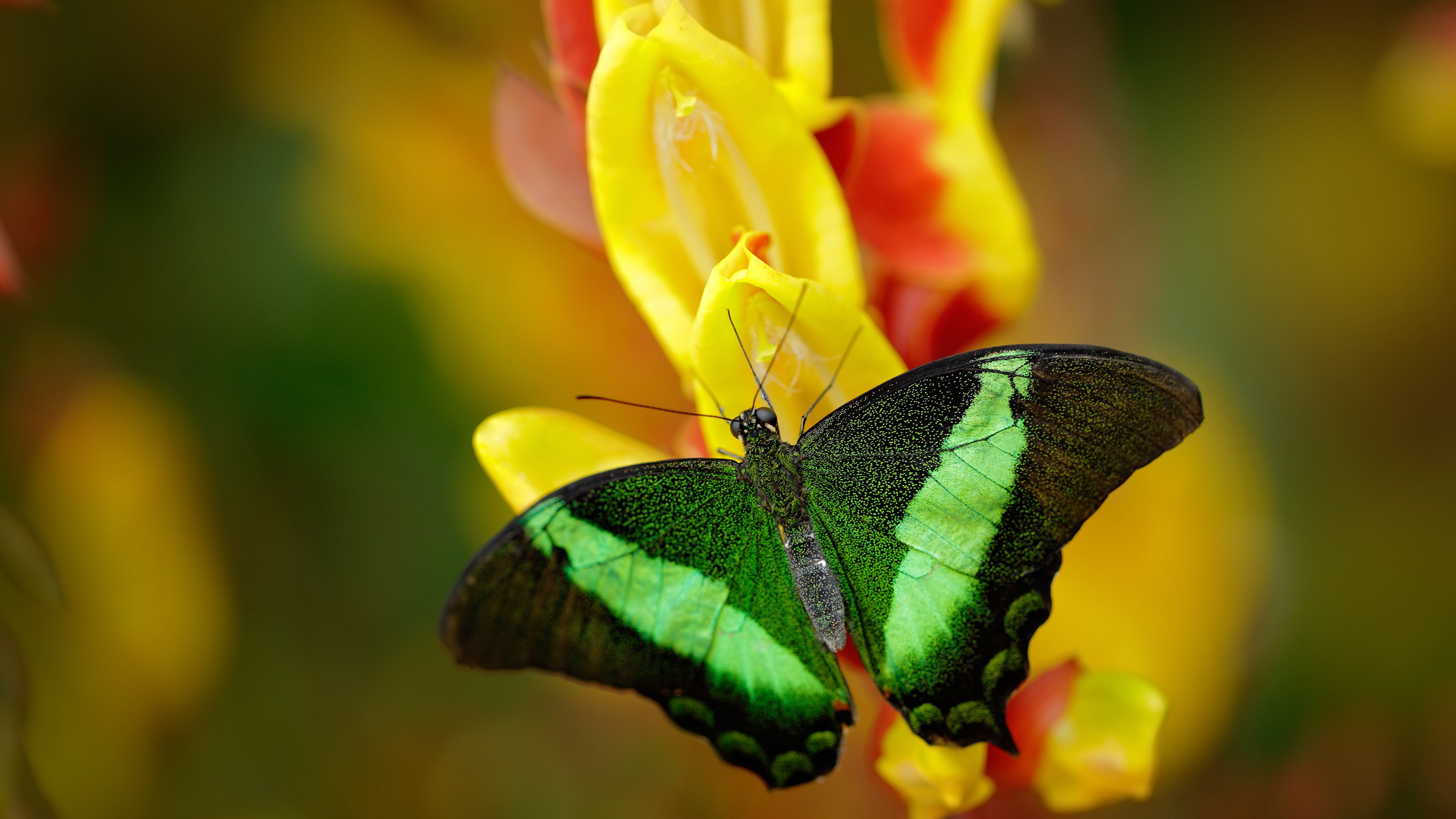 kaiyun体育app-基础设施升级助力：高速网络和智能设备引领行业迈入新纪元，基础设施升级改造